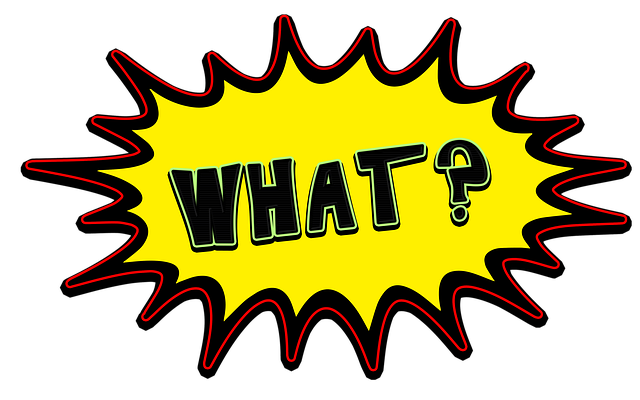 Celebrity Nedir? Celebrity Ne Demek?