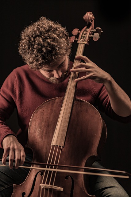 Cellist Nedir? Cellist Ne Demek? Cellist Nedir? Cellist Ne Demek?