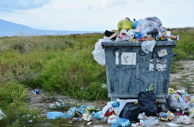 Çevre Kirliliği Nedir? Çevre Kirliliği Ne Demek? Çevre Kirliliği Nedir? Çevre Kirliliği Ne Demek?