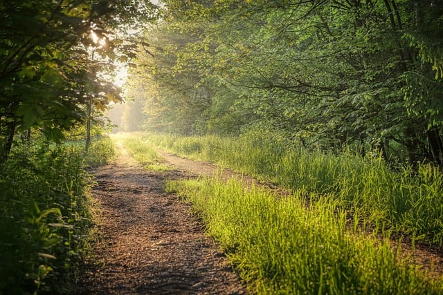 Çevre Yolu Nedir? Çevre Yolu Ne Demek? Çevre Yolu Nedir? Çevre Yolu Ne Demek?