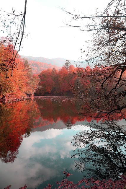 Colorful Nedir? Colorful Ne Demek?